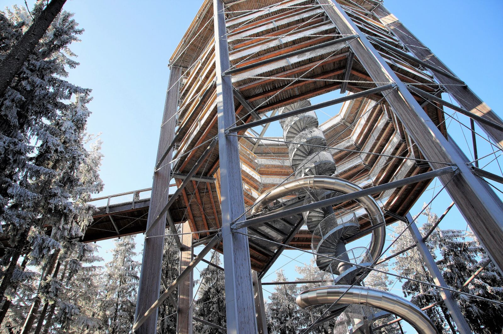 Sony SLT-A58 sample photo. Trail treetops, lipno, czech photography