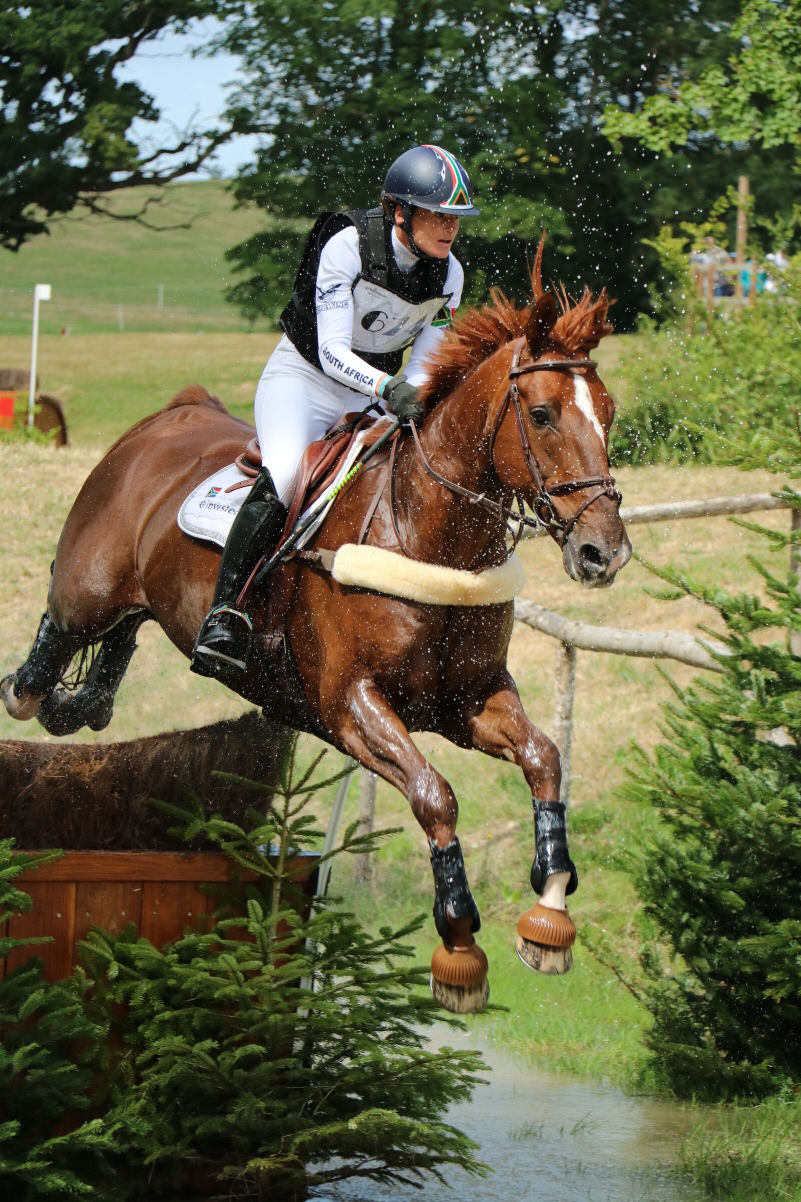 Canon EOS 750D (EOS Rebel T6i / EOS Kiss X8i) sample photo. Haras du pin, national photography