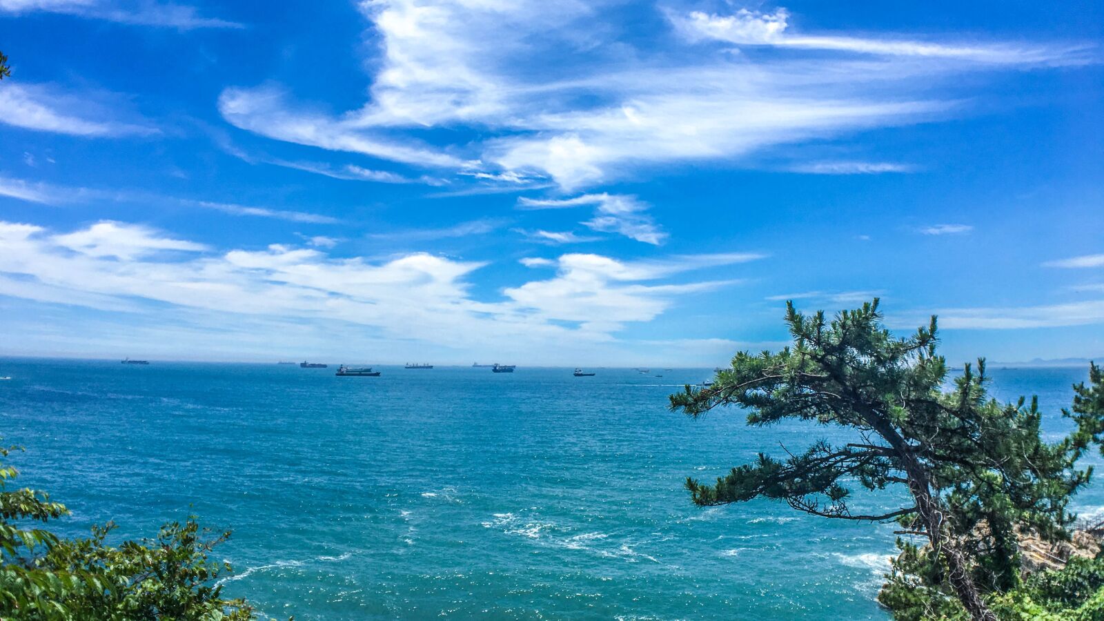 Apple iPhone 6s sample photo. Sea, pine, sky photography