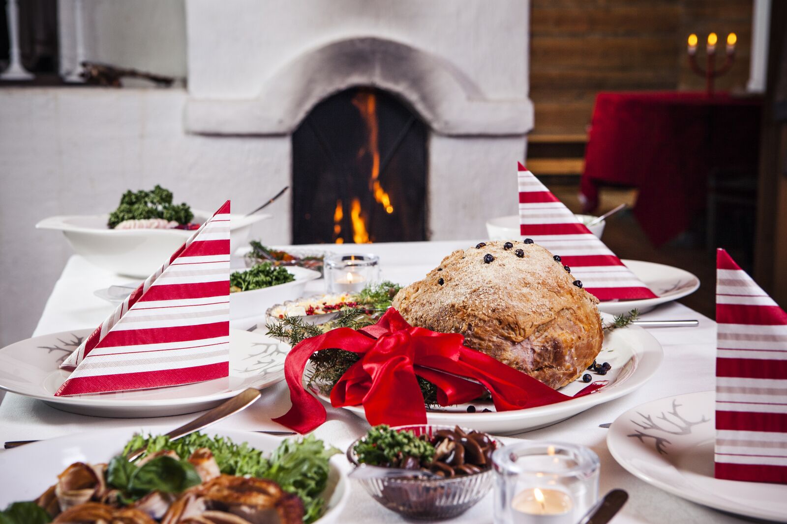 Canon EOS 5D Mark II sample photo. Fireplace, christmas, christmas lunch photography