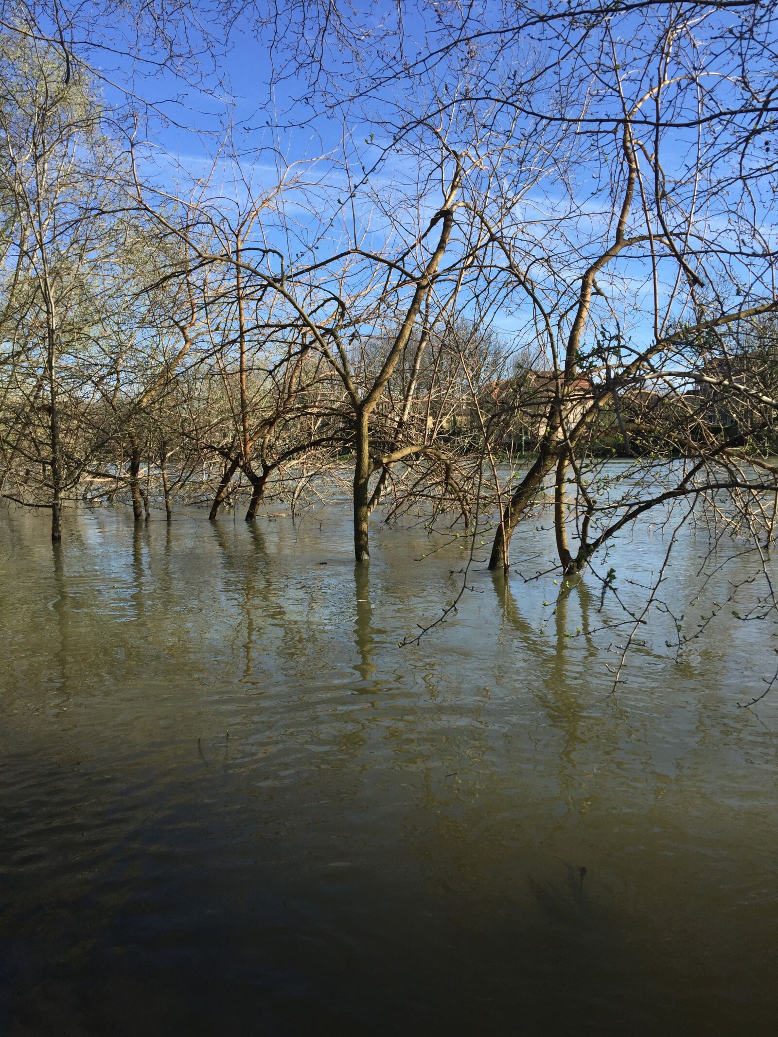 iPhone 6 Plus back camera 4.15mm f/2.2 sample photo. Marne river, saint-maur city photography