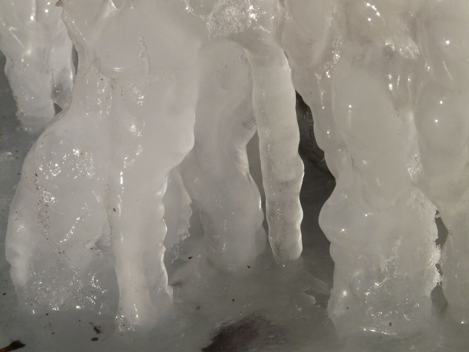 Panasonic DMC-FZ18 sample photo. Ice, icy, frozen photography