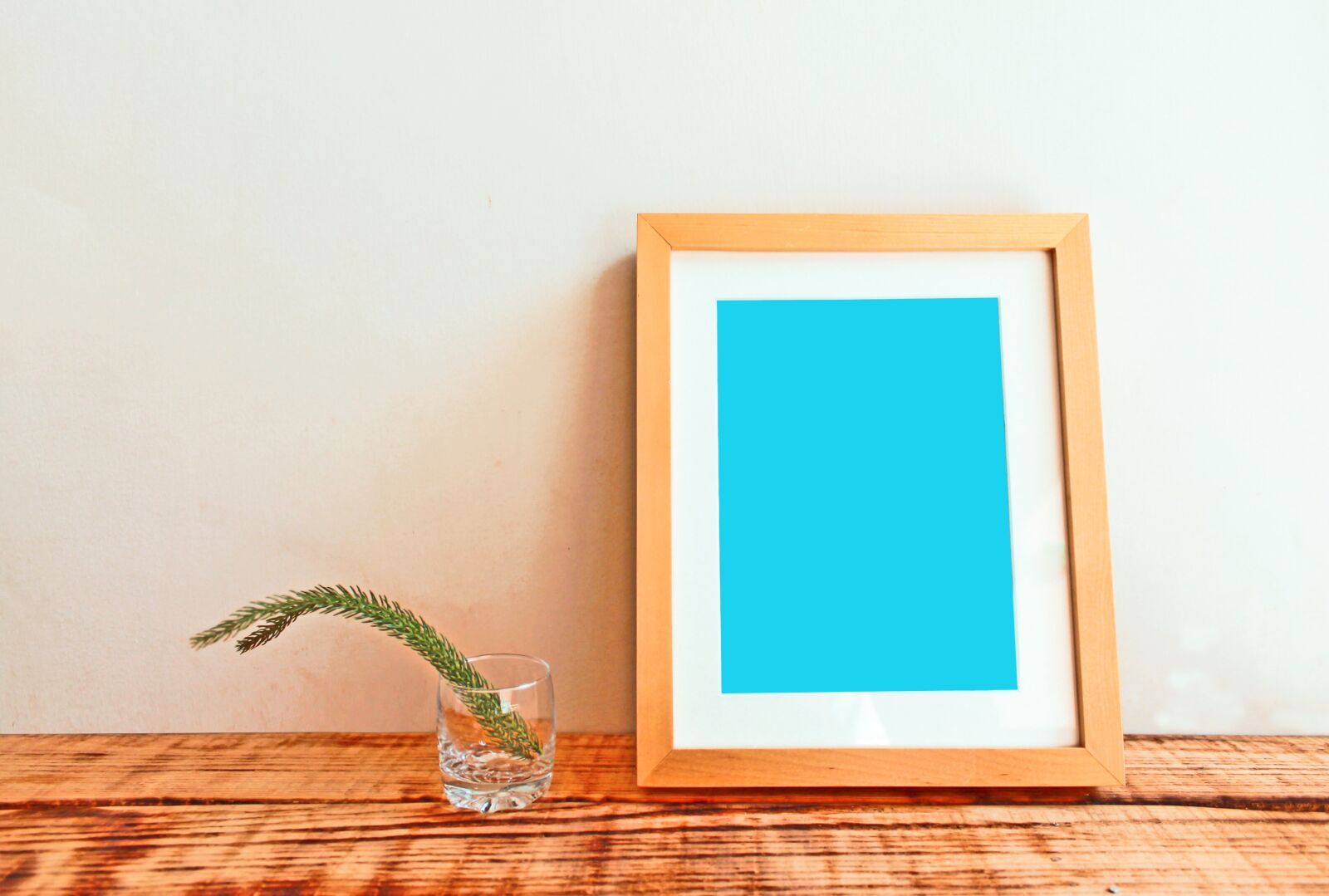 Canon EOS 1100D (EOS Rebel T3 / EOS Kiss X50) sample photo. Frame, mockup, photo photography