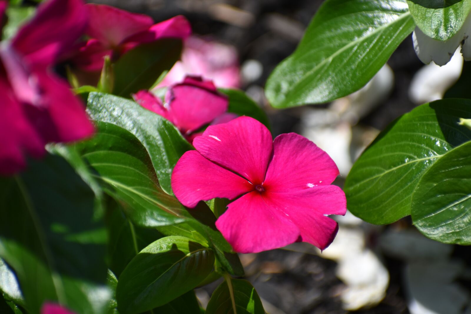 Nikon D3400 sample photo. Paintings, art, artistic photography