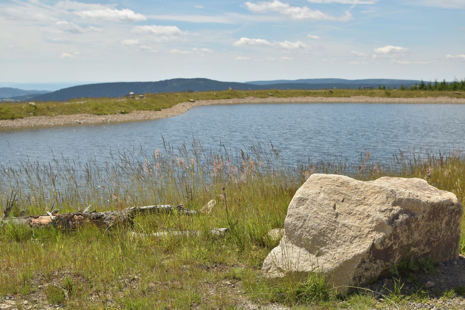Nikon D5300 sample photo. Artificial pond, quiet zone photography