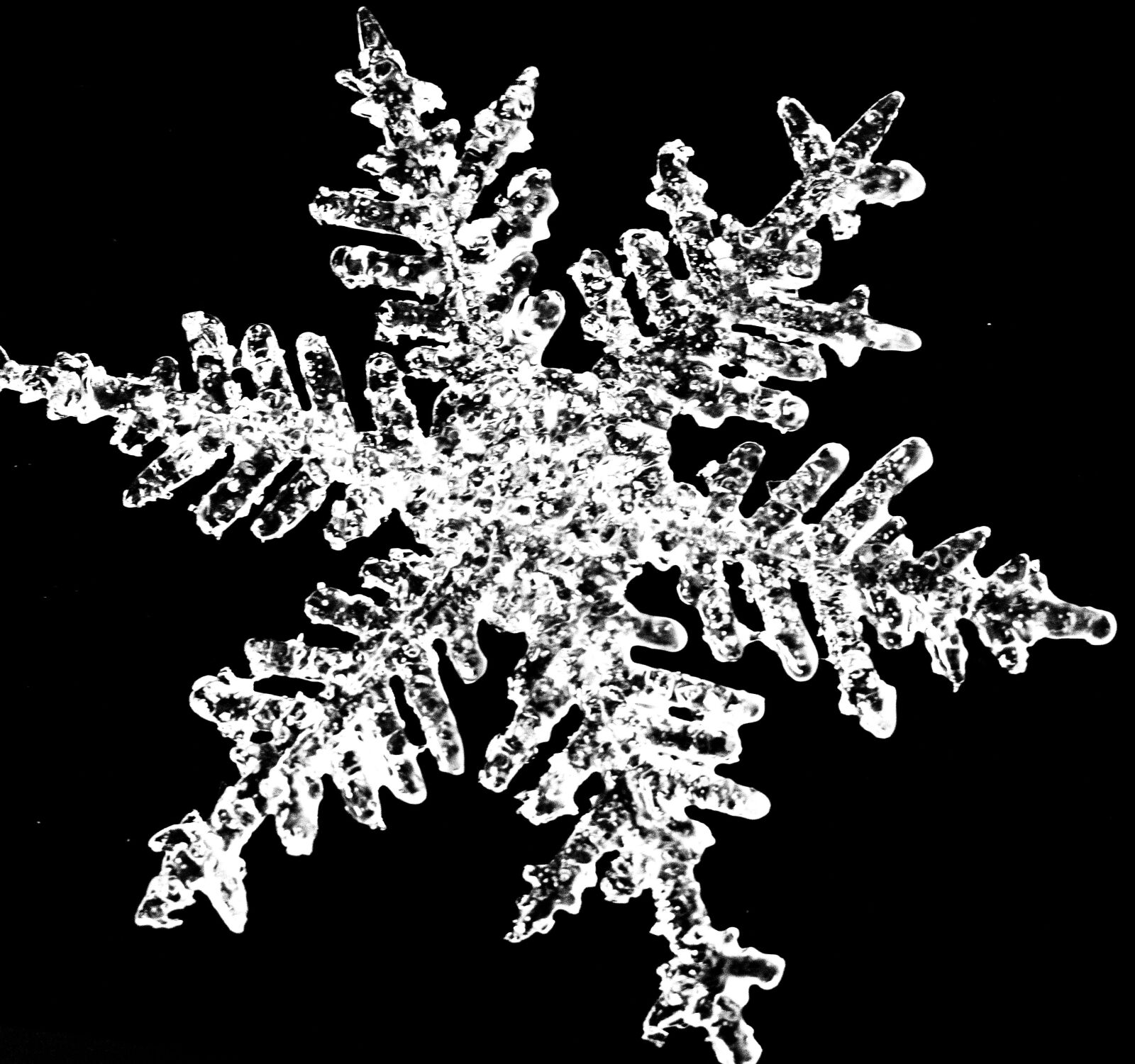 Nikon D5300 sample photo. Flake, snow, winter photography