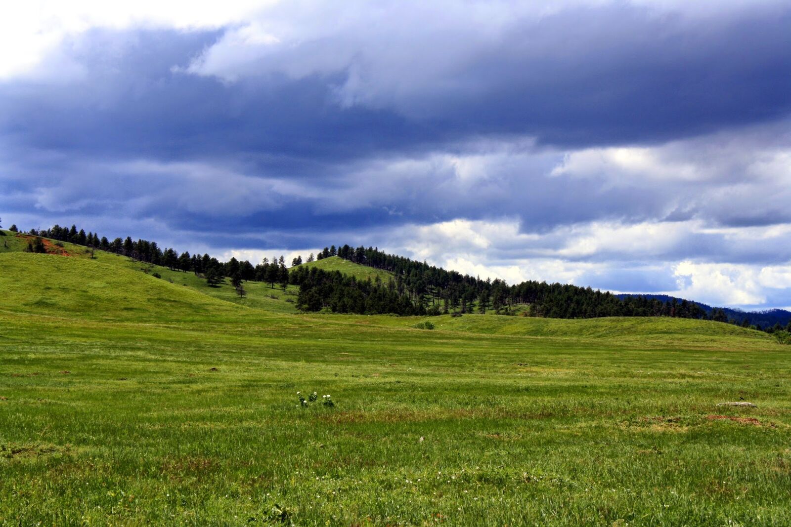 Canon EOS 1000D (EOS Digital Rebel XS / EOS Kiss F) sample photo. Nature, panoramic, landscape photography