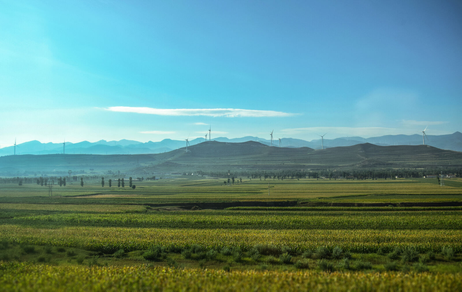 Nikon D5300 sample photo