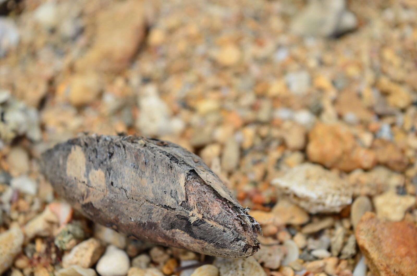 Nikon D5100 sample photo. Beach, macro, stones photography