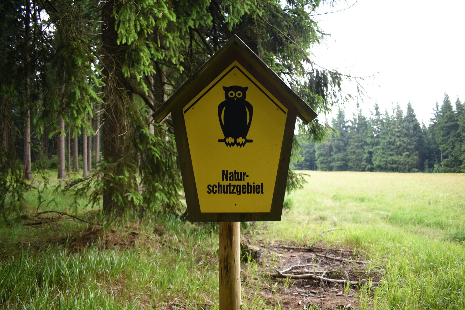 Nikon D3400 sample photo. Nature, preserve, landscape photography