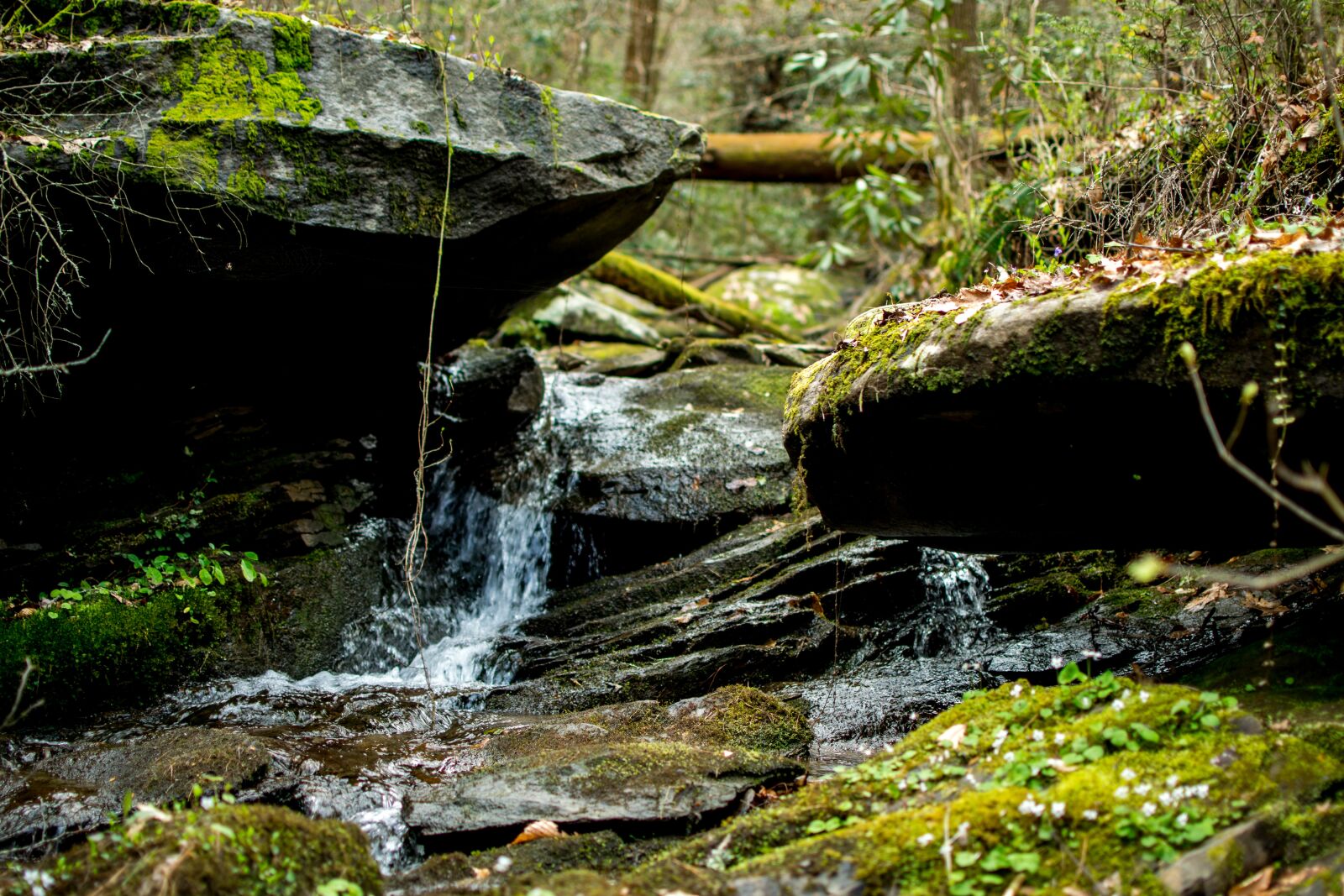 Nikon D3300 sample photo. Stream, rocks, stone photography