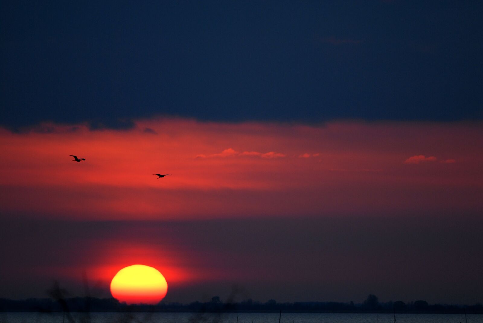 Nikon D200 sample photo. Sun, sunrise, mood photography