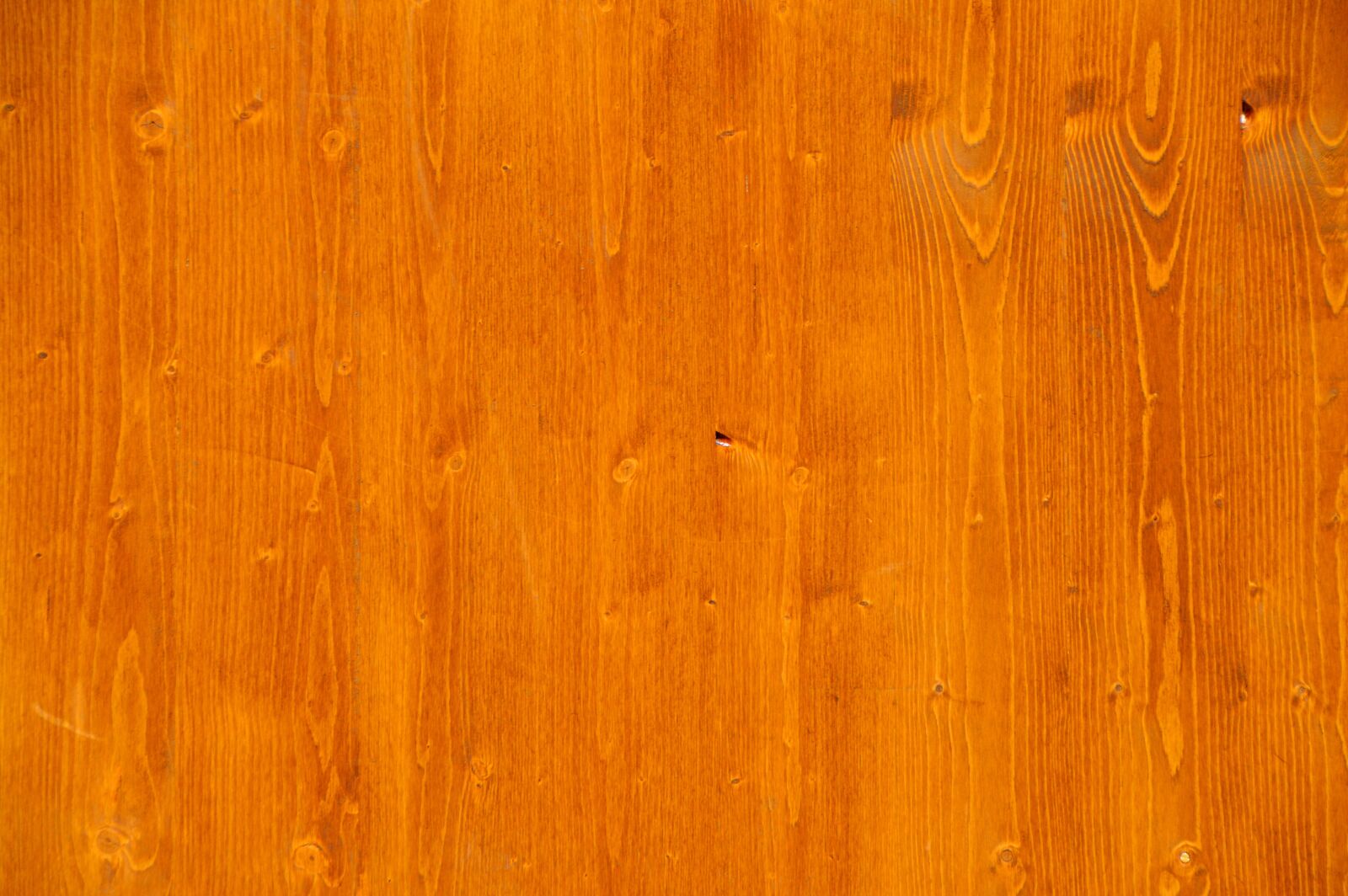 Nikon D3200 sample photo. Softwood, fir tree, texture photography
