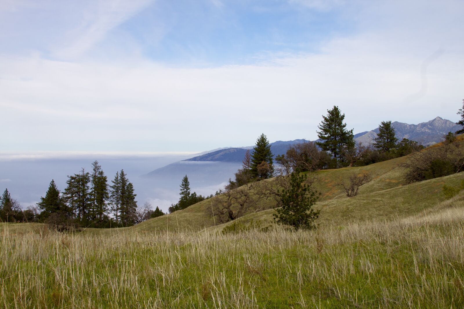 Canon EOS 500D (EOS Rebel T1i / EOS Kiss X3) sample photo. Hills, nature, landscape photography