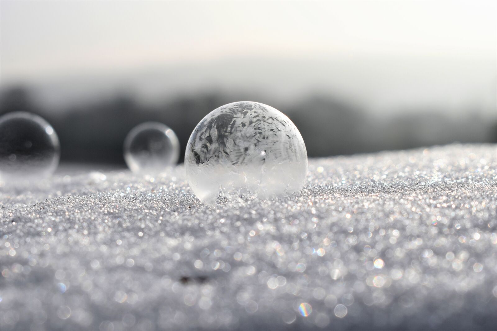 Nikon D5500 sample photo. Soap bubbles, frozen, frost photography