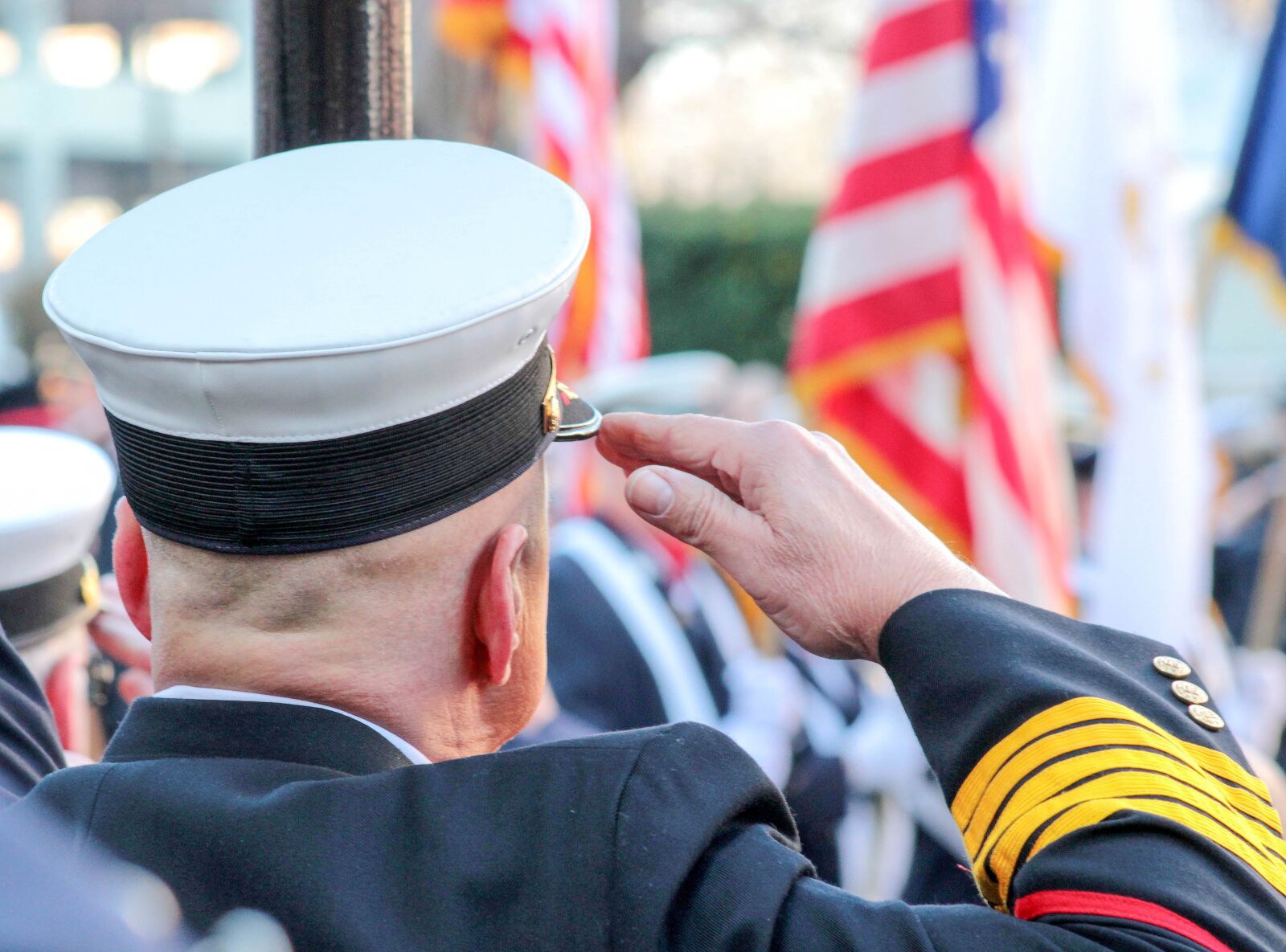 Canon EOS 600D (Rebel EOS T3i / EOS Kiss X5) sample photo. Salute, hand, flag photography