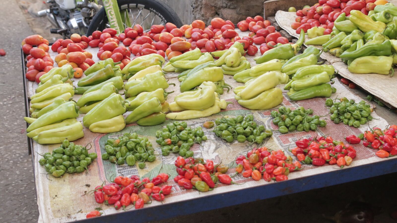 Canon EOS 70D sample photo. Chillies, aji, ajís photography