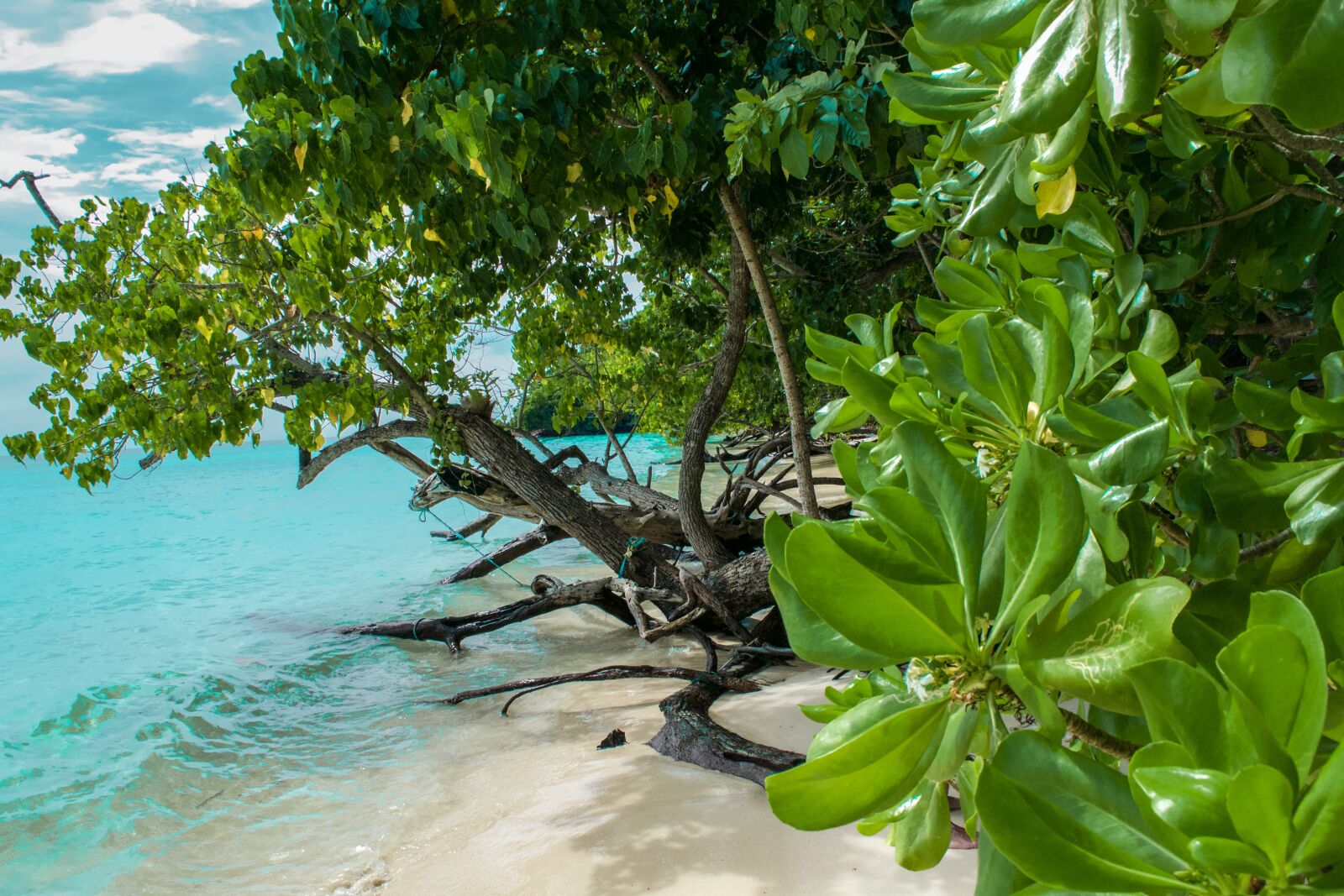 Nikon D3100 sample photo. Island, sea, ocean photography