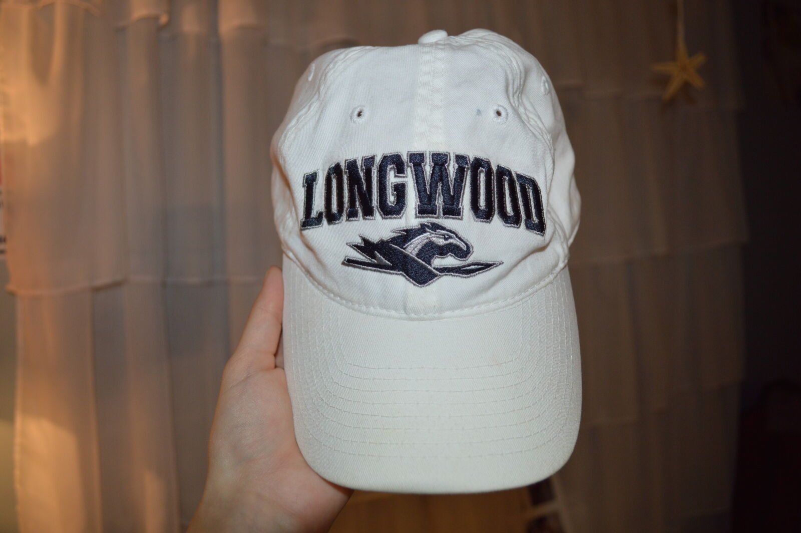 Nikon D3200 sample photo. College, longwood, longwood, university photography