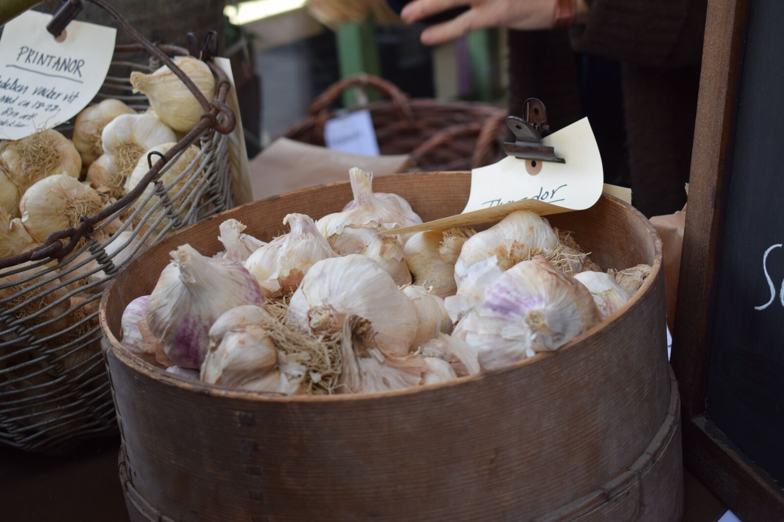 Nikon D3300 sample photo. Garlic, s ttl k photography