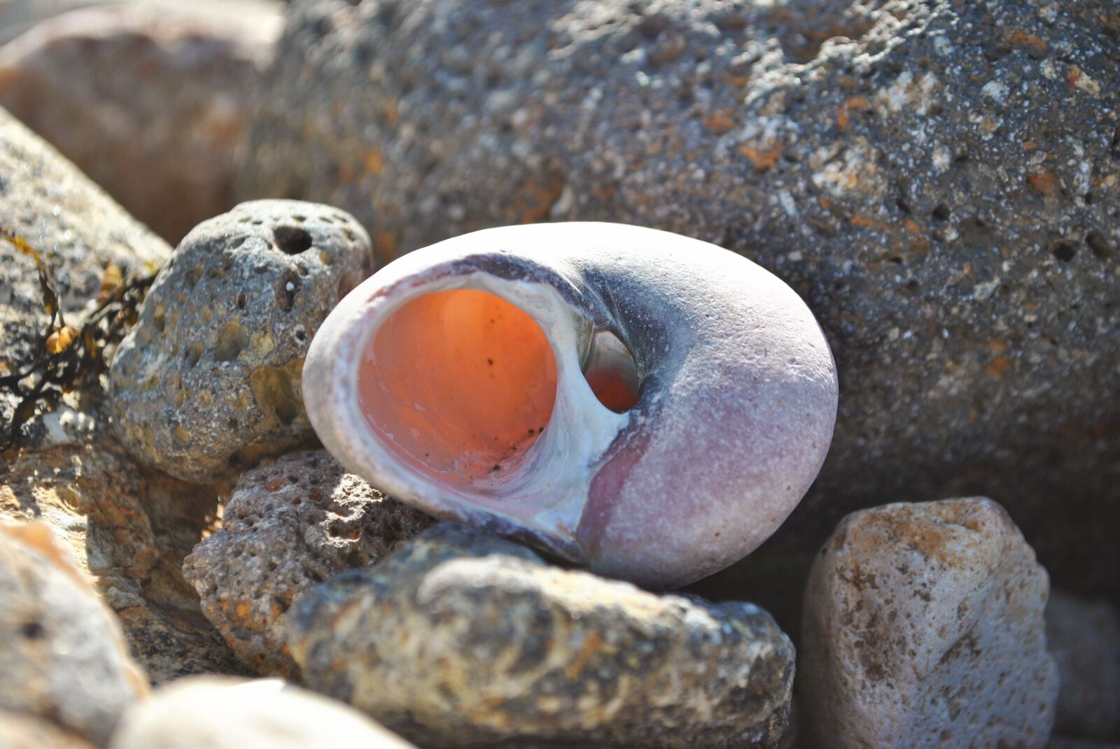 Nikon D3000 sample photo. Nature, rock, stone photography