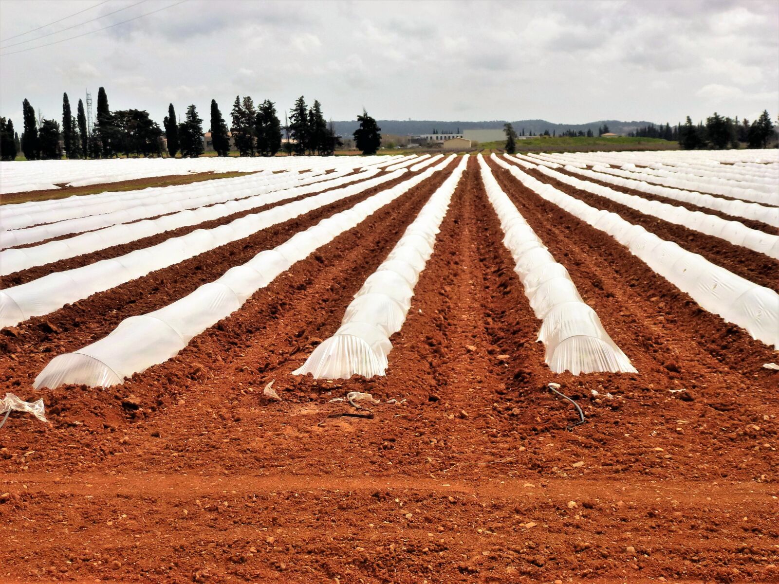 Panasonic Lumix DMC-ZS10 (Lumix DMC-TZ20 / Lumix DMC-TZ22) sample photo. Agro-industry, earth, field photography