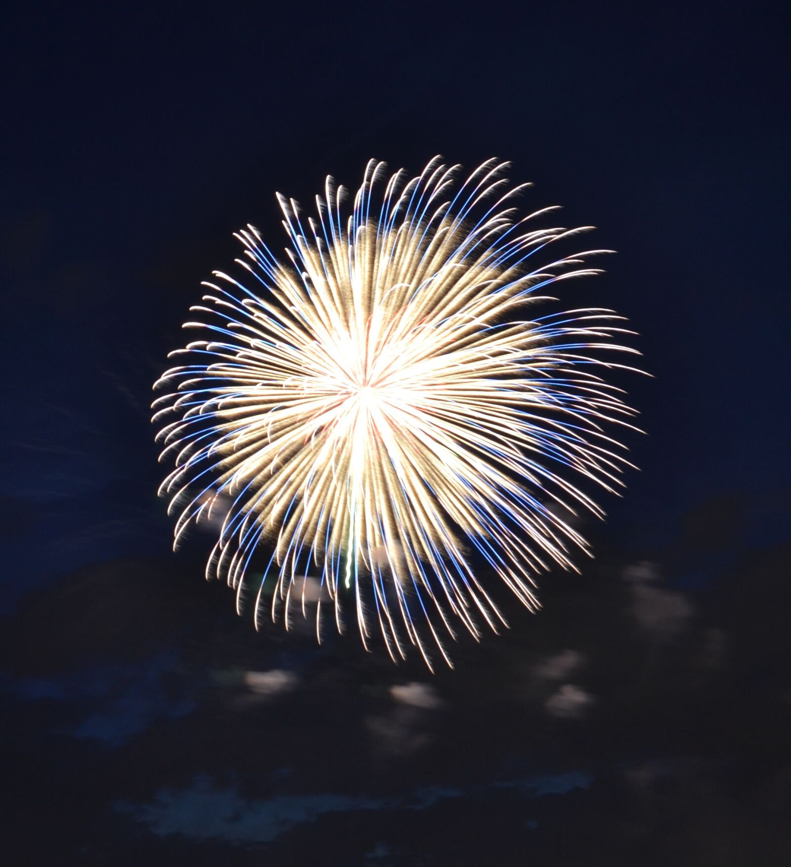Nikon D3100 sample photo. Fireworks, explosion, festival photography