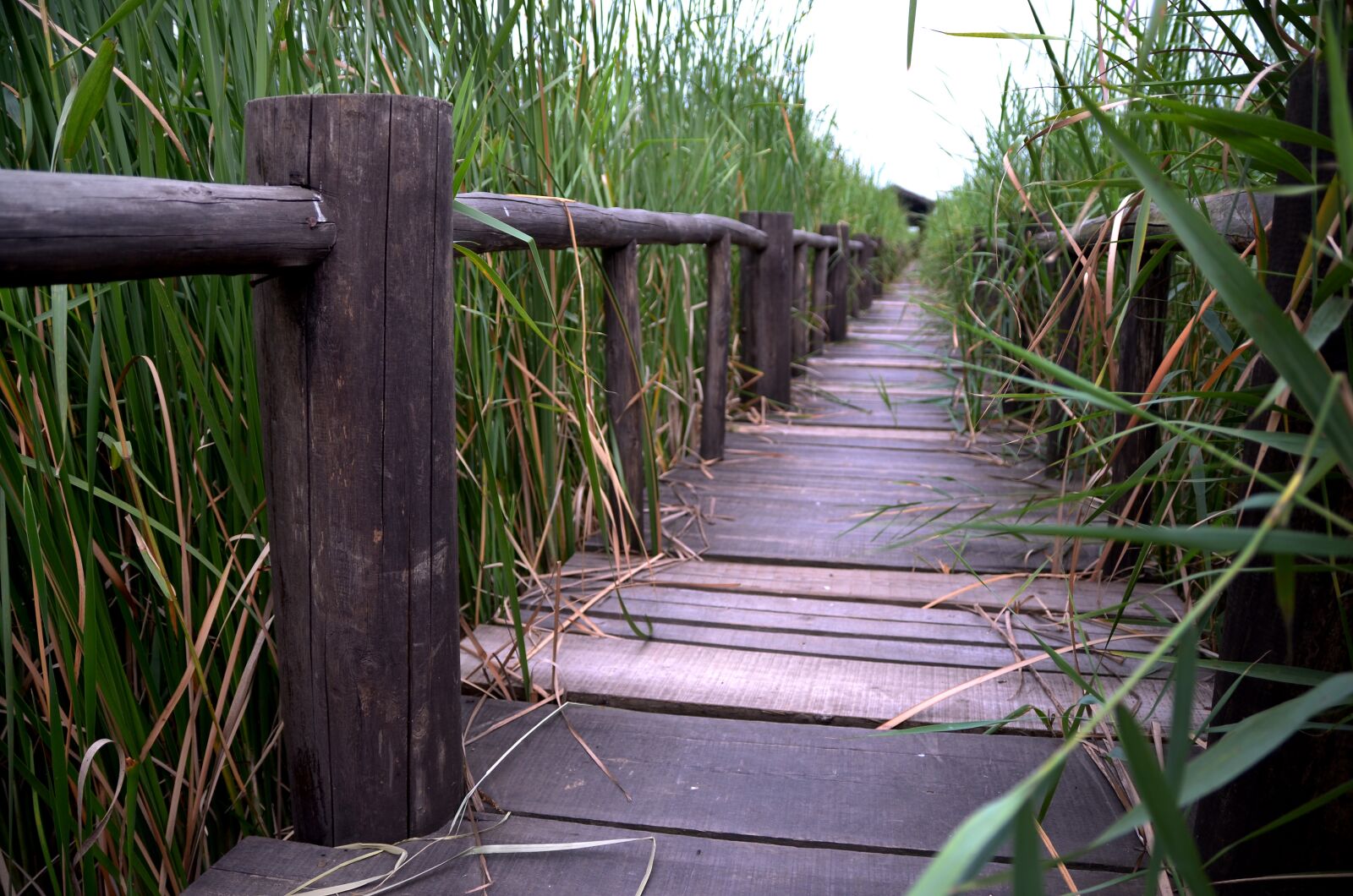Nikon D7000 sample photo. Henan, xinxiang, chen bridge photography