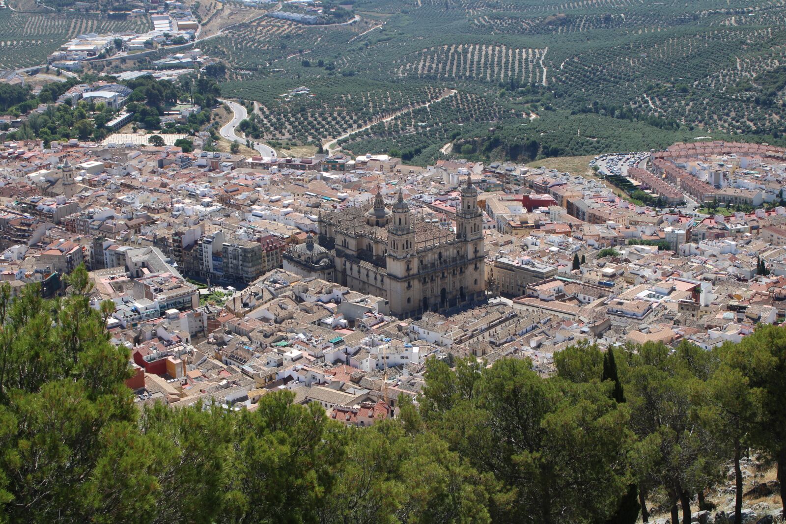 Canon EOS 2000D (EOS Rebel T7 / EOS Kiss X90 / EOS 1500D) sample photo. Jaen, cathedral, city photography