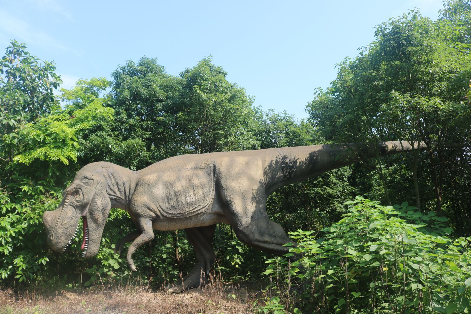 Canon EOS 750D (EOS Rebel T6i / EOS Kiss X8i) sample photo. Dinosaur, ancient dinosaur, simulation photography