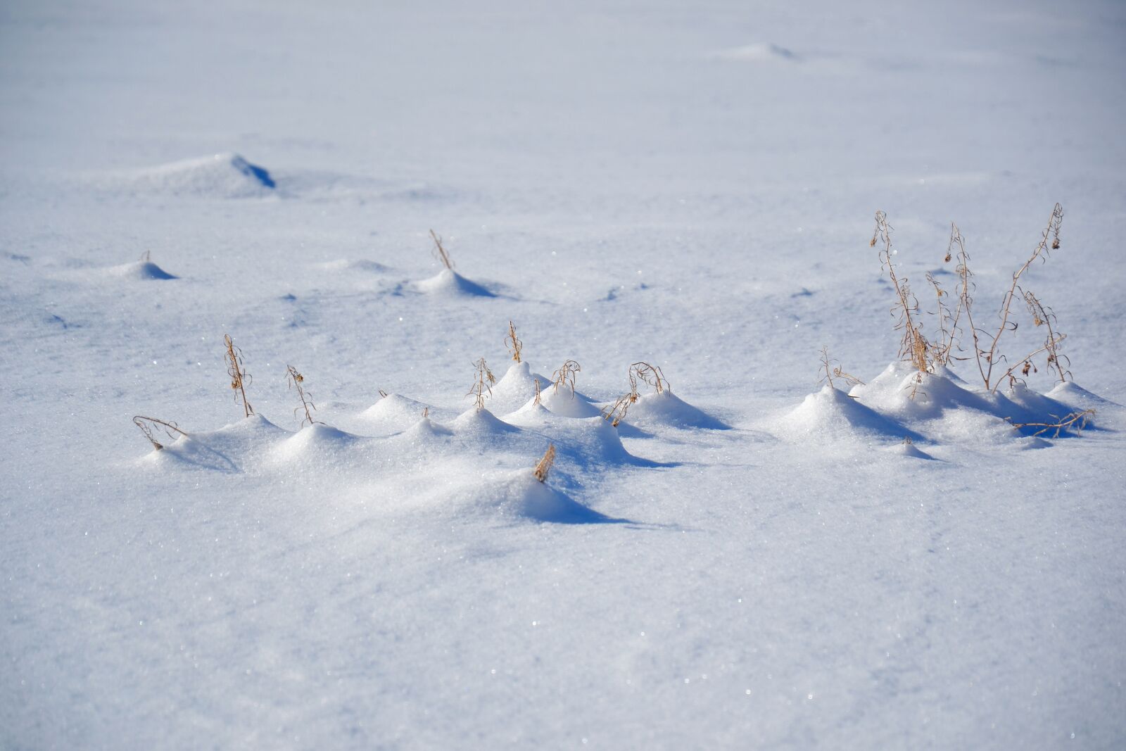 Nikon D3100 sample photo. Snow, winter, snowdrifts photography