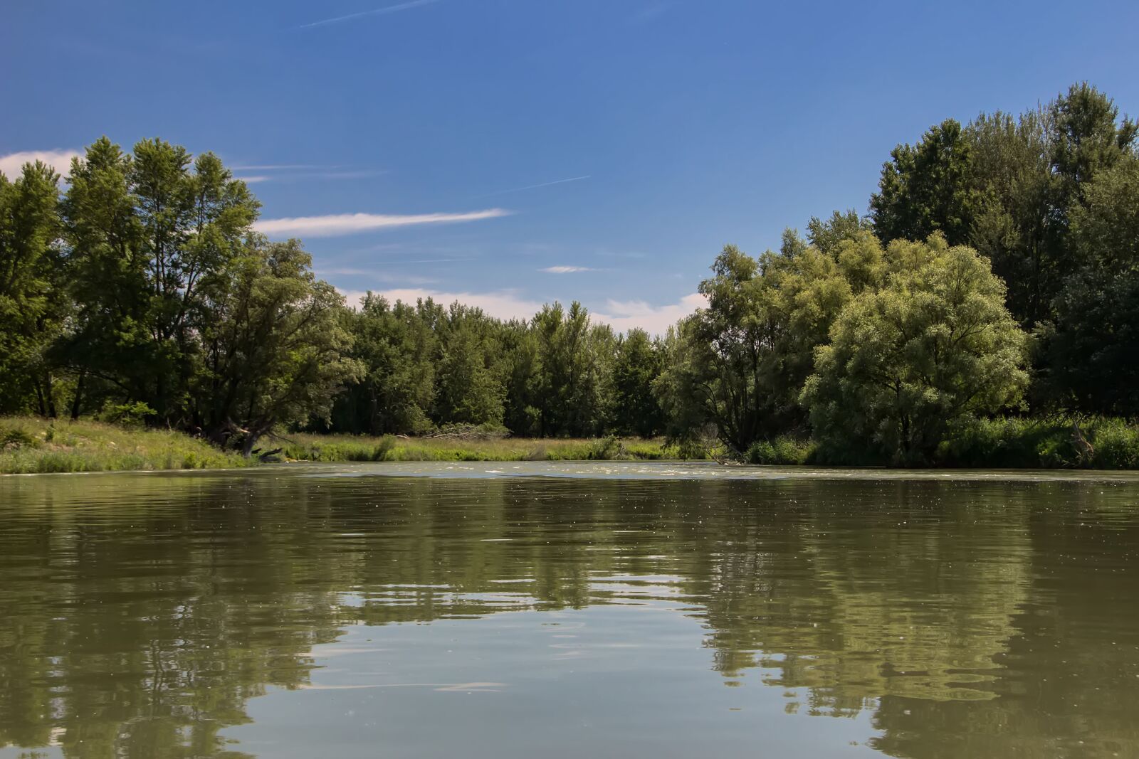 Canon EOS 600D (Rebel EOS T3i / EOS Kiss X5) sample photo. Danube, slovakia, nature photography