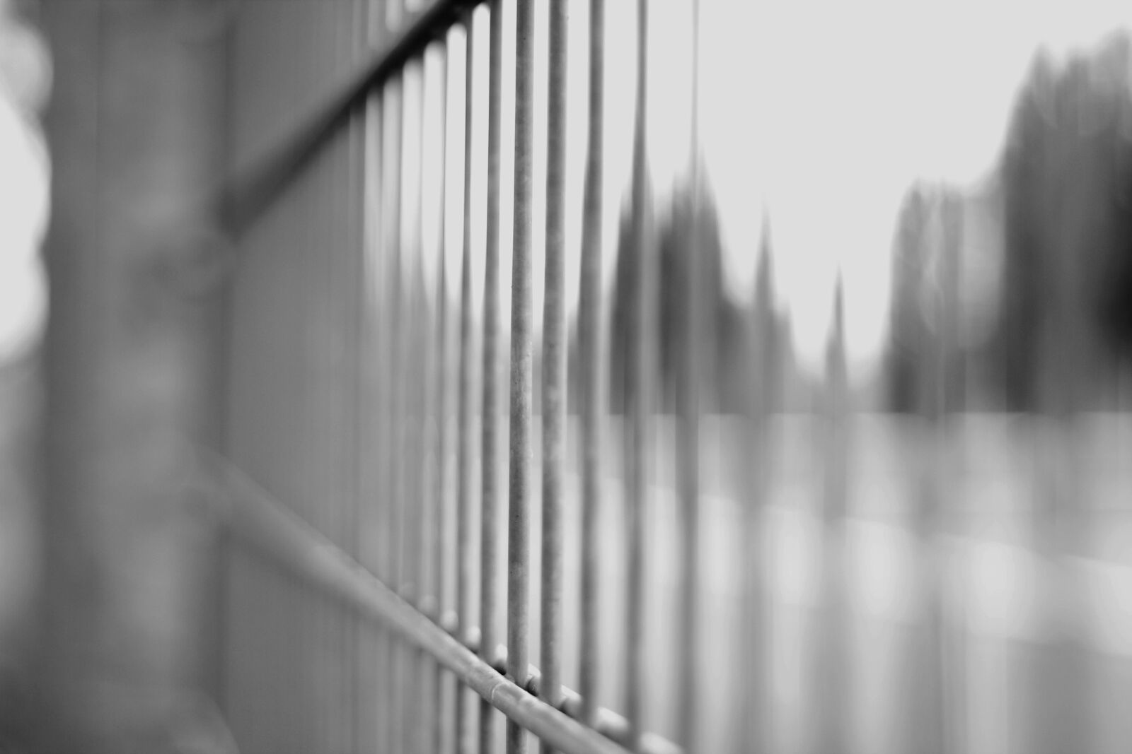 Canon EOS 1100D (EOS Rebel T3 / EOS Kiss X50) sample photo. Black, white, pattern photography