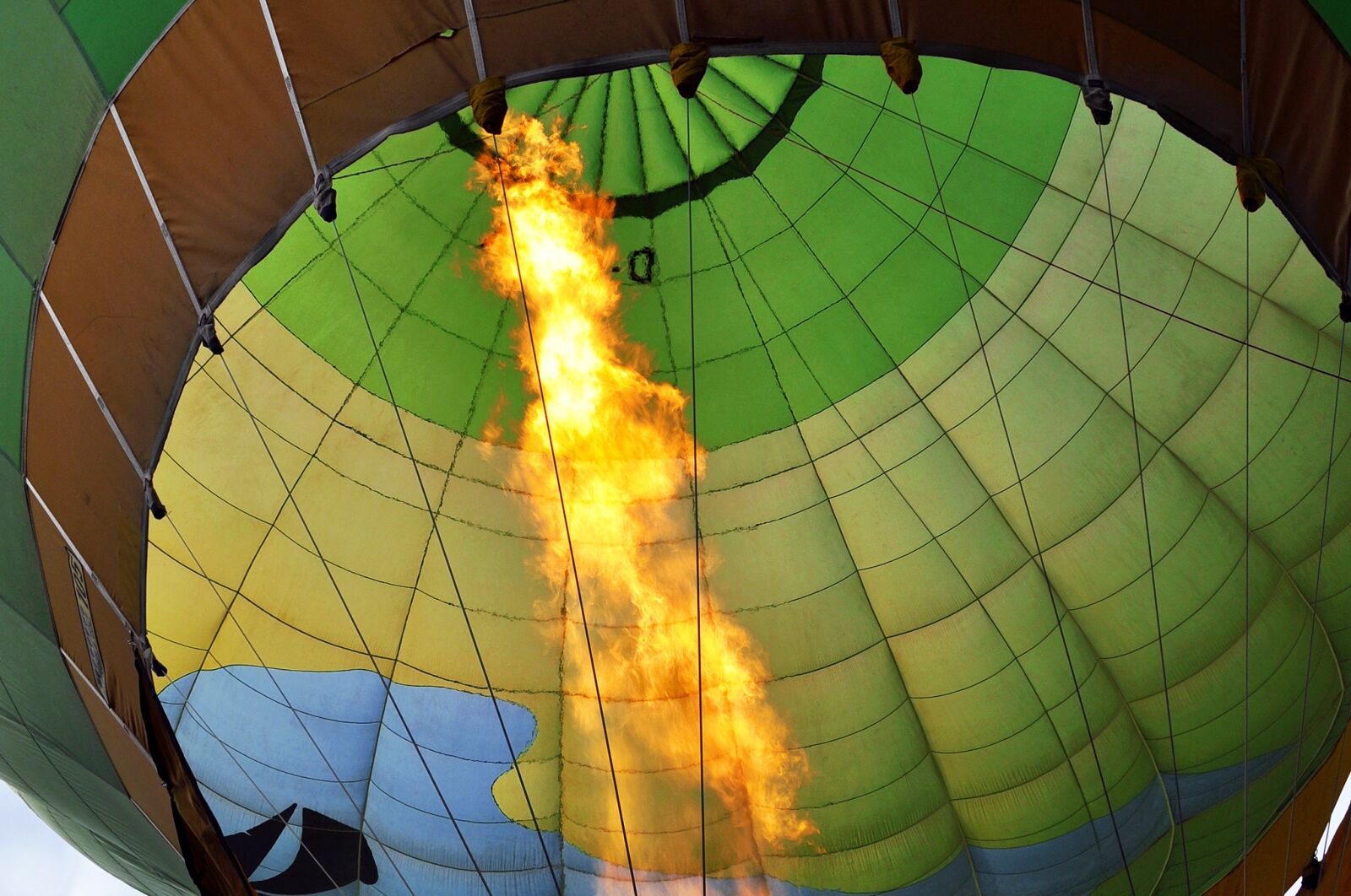 Nikon D5000 sample photo. Balloon, hot air balloon photography