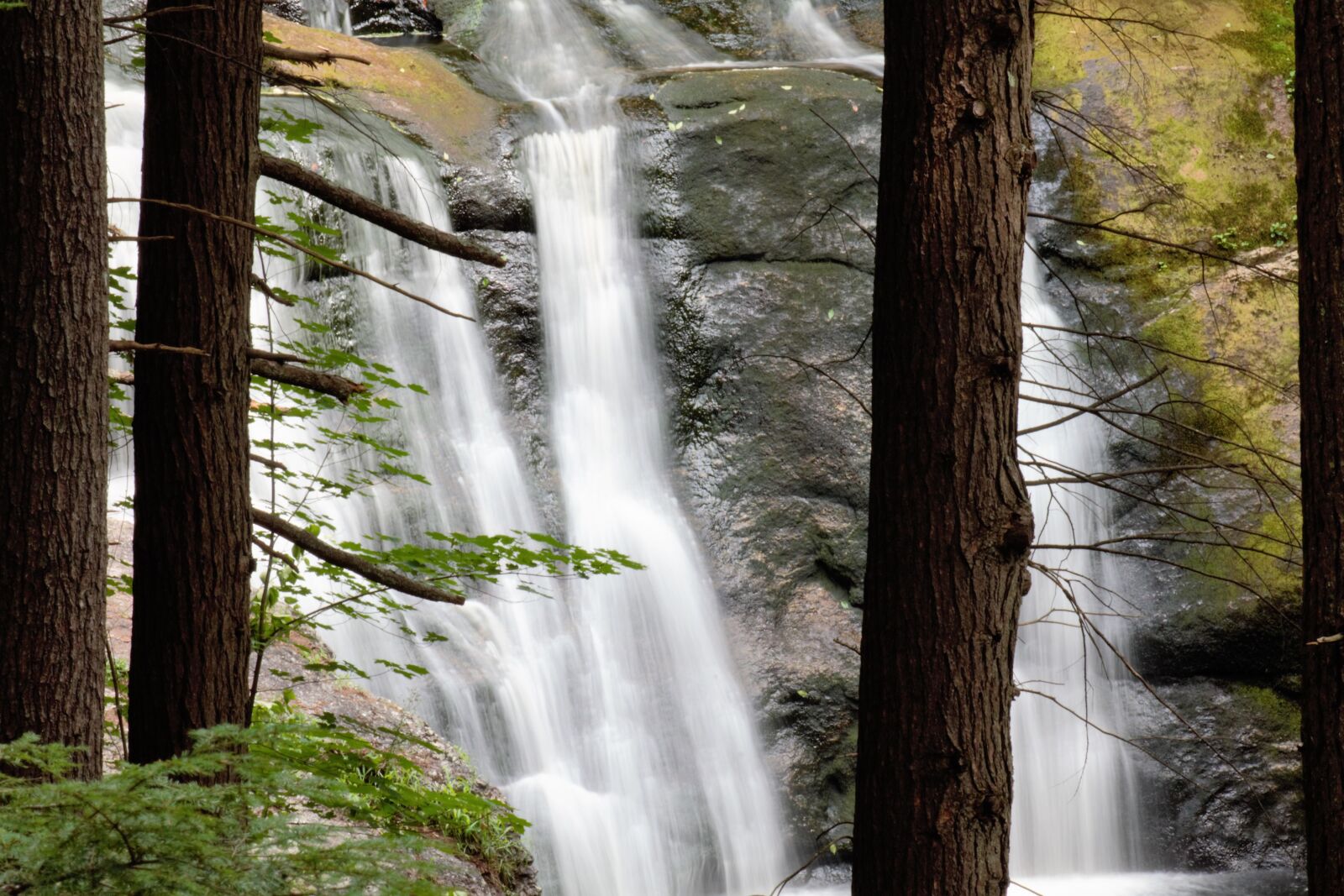Canon EOS 1100D (EOS Rebel T3 / EOS Kiss X50) sample photo. Falls, nature, forest photography