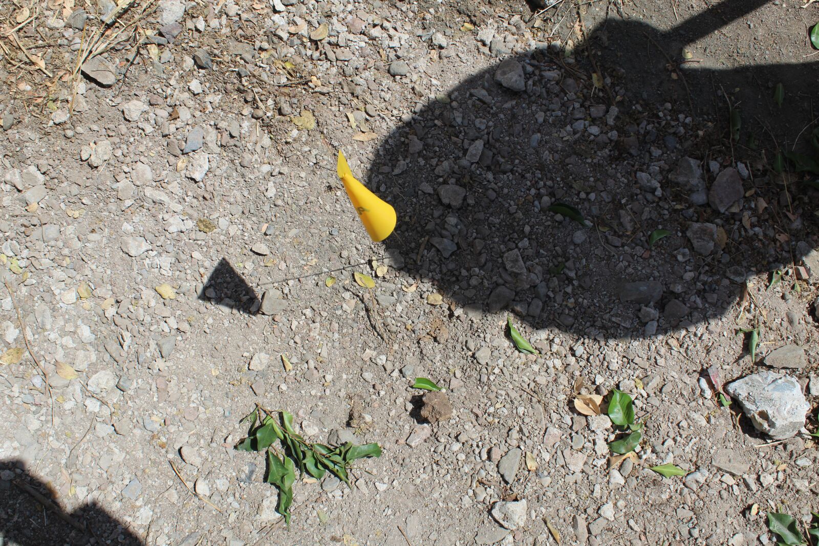 Canon EOS 1300D (EOS Rebel T6 / EOS Kiss X80) sample photo. Criminalistics, of, field photography