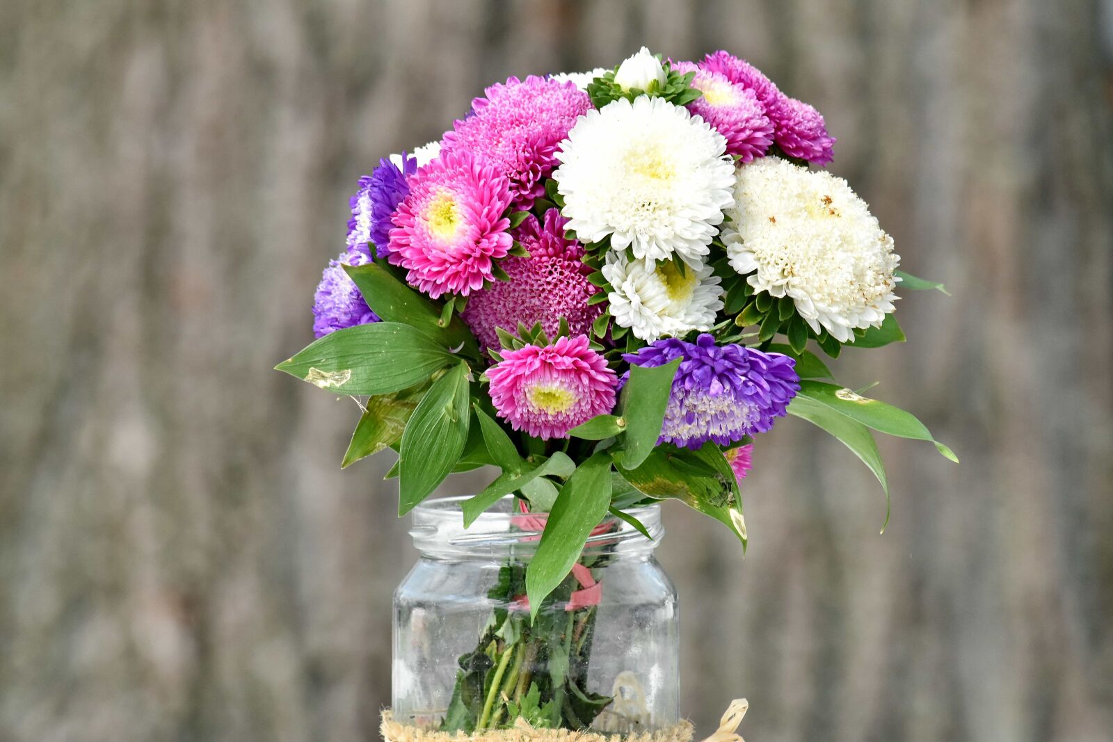 Nikon D5500 sample photo. Jar, romantic, vase, decoration photography