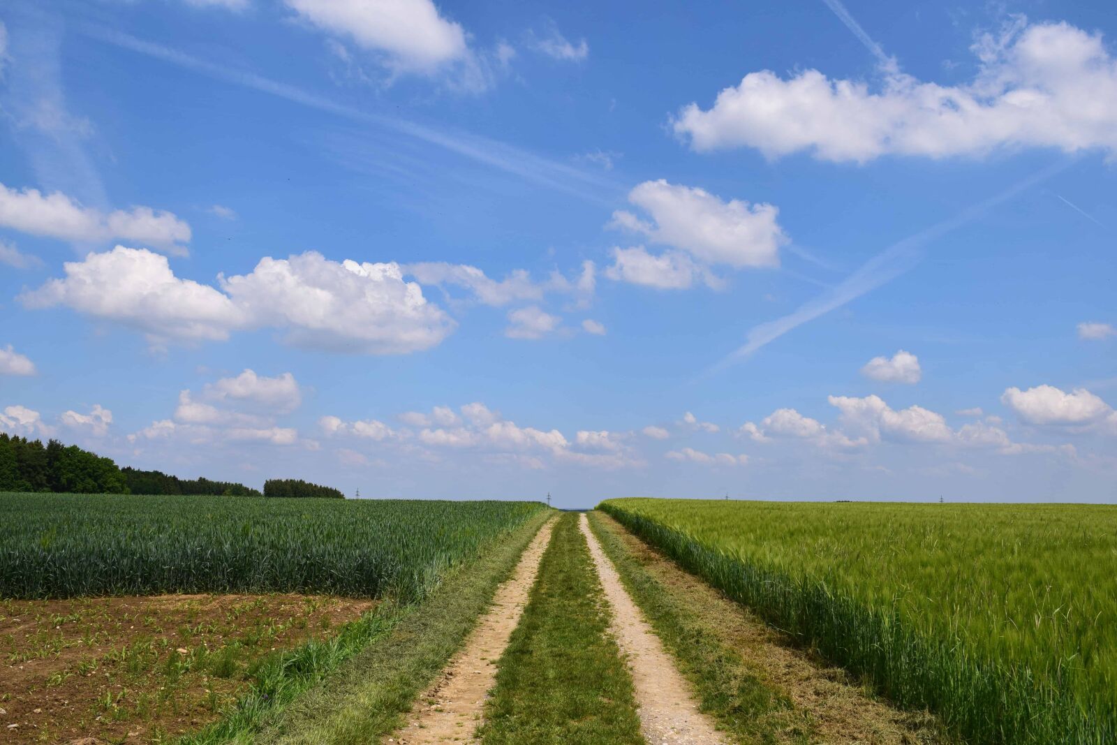 Nikon D3300 sample photo. Landscape, road, summer, field photography