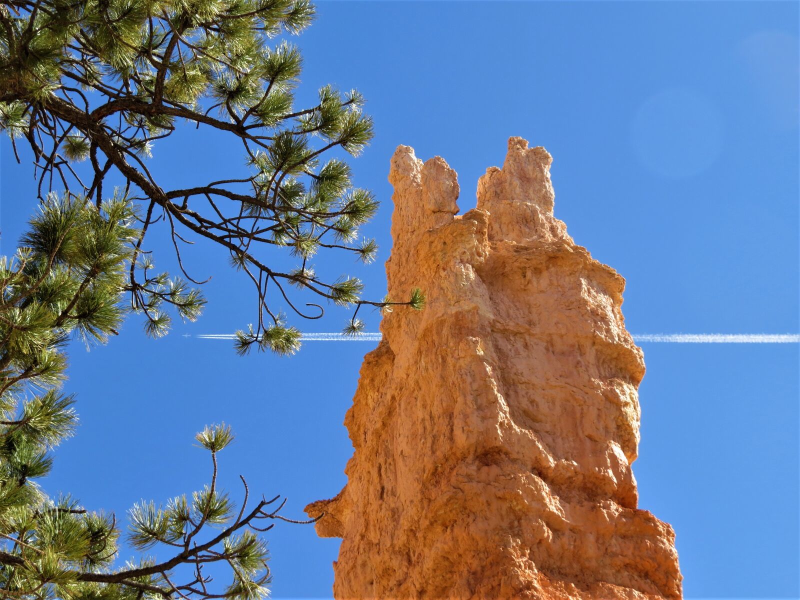 Canon PowerShot SX50 HS sample photo. Bryce canyon, blue sky photography