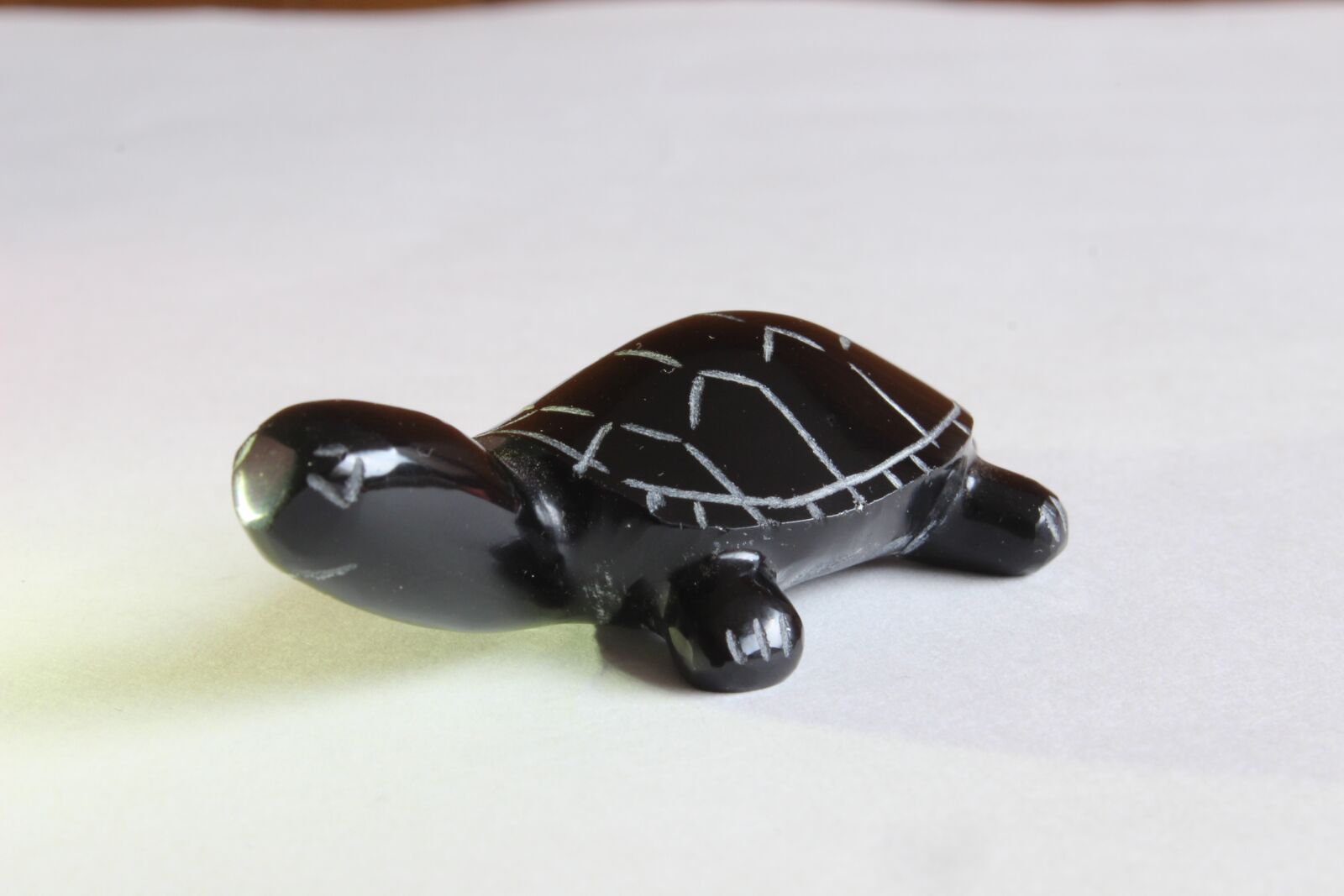 Canon EOS 600D (Rebel EOS T3i / EOS Kiss X5) sample photo. Turtle, crafts, decoration photography