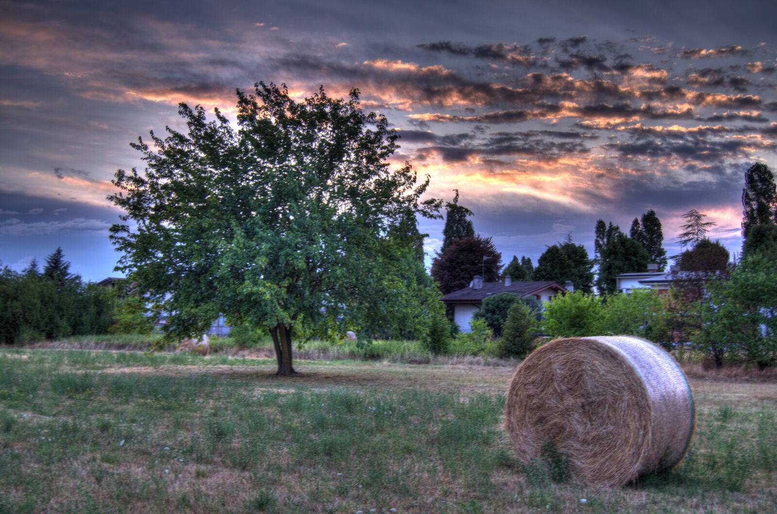Nikon D5100 sample photo. Tree, bale, sky photography