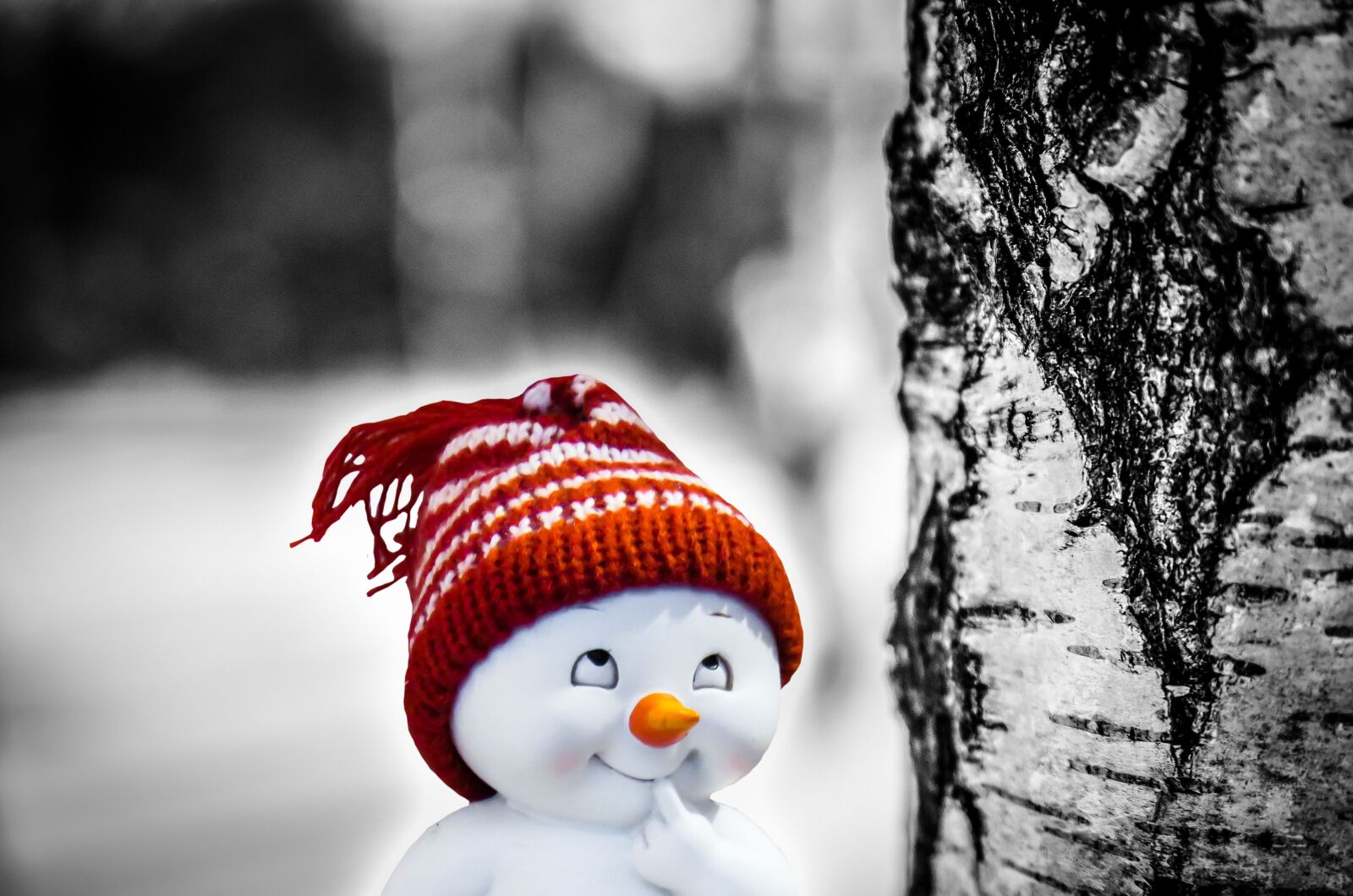 Nikon D5100 sample photo. Snowman, smile, consider photography