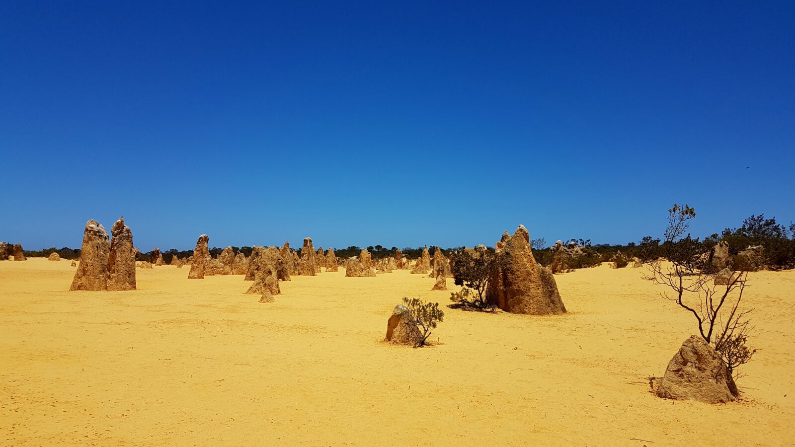 Samsung SM-G930F sample photo. Pinnacles desert, desert, outback photography
