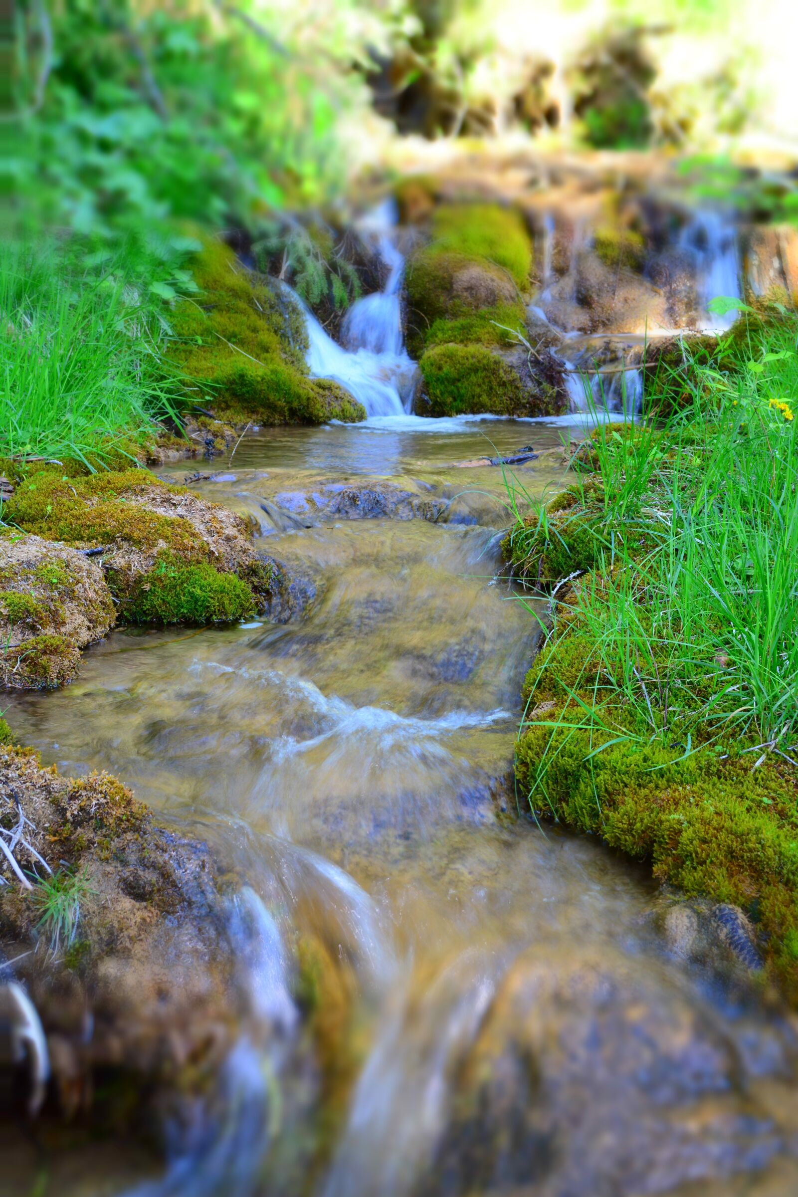 Nikon D5200 sample photo. Water, forest, nature photography