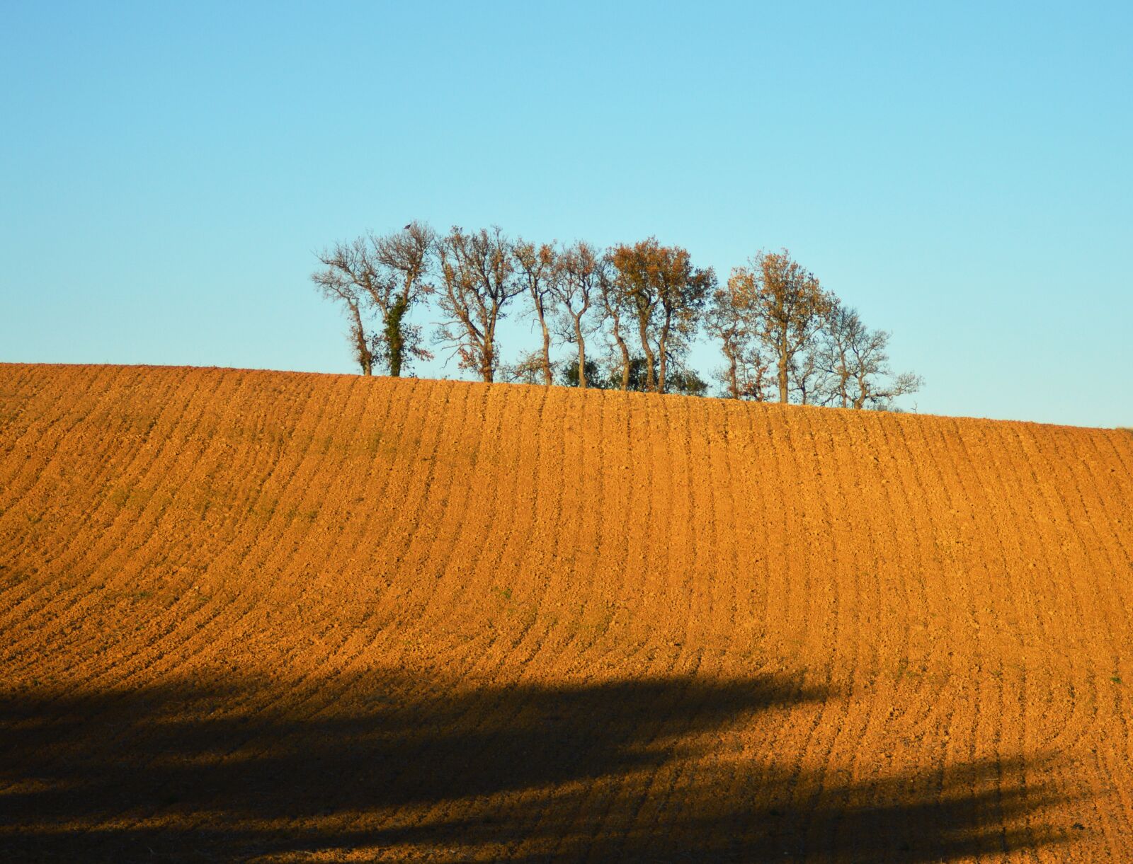 Nikon D3200 sample photo. Field, landscape, nature photography