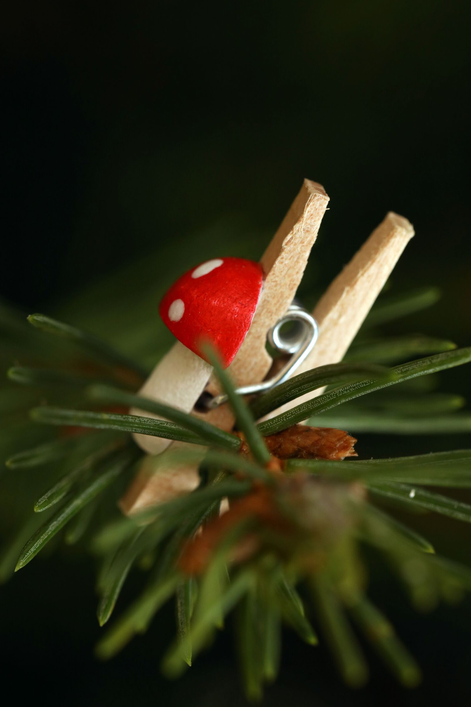 Canon EOS R sample photo. Pine needles, decoration, christmas photography