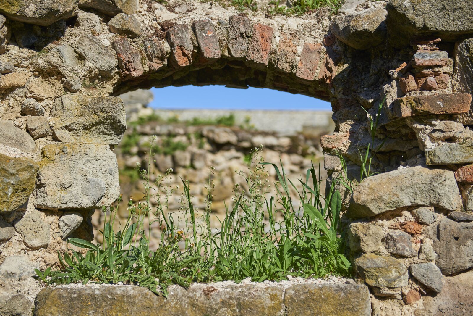 Nikon D800 sample photo. Bzov k, monastery, the photography