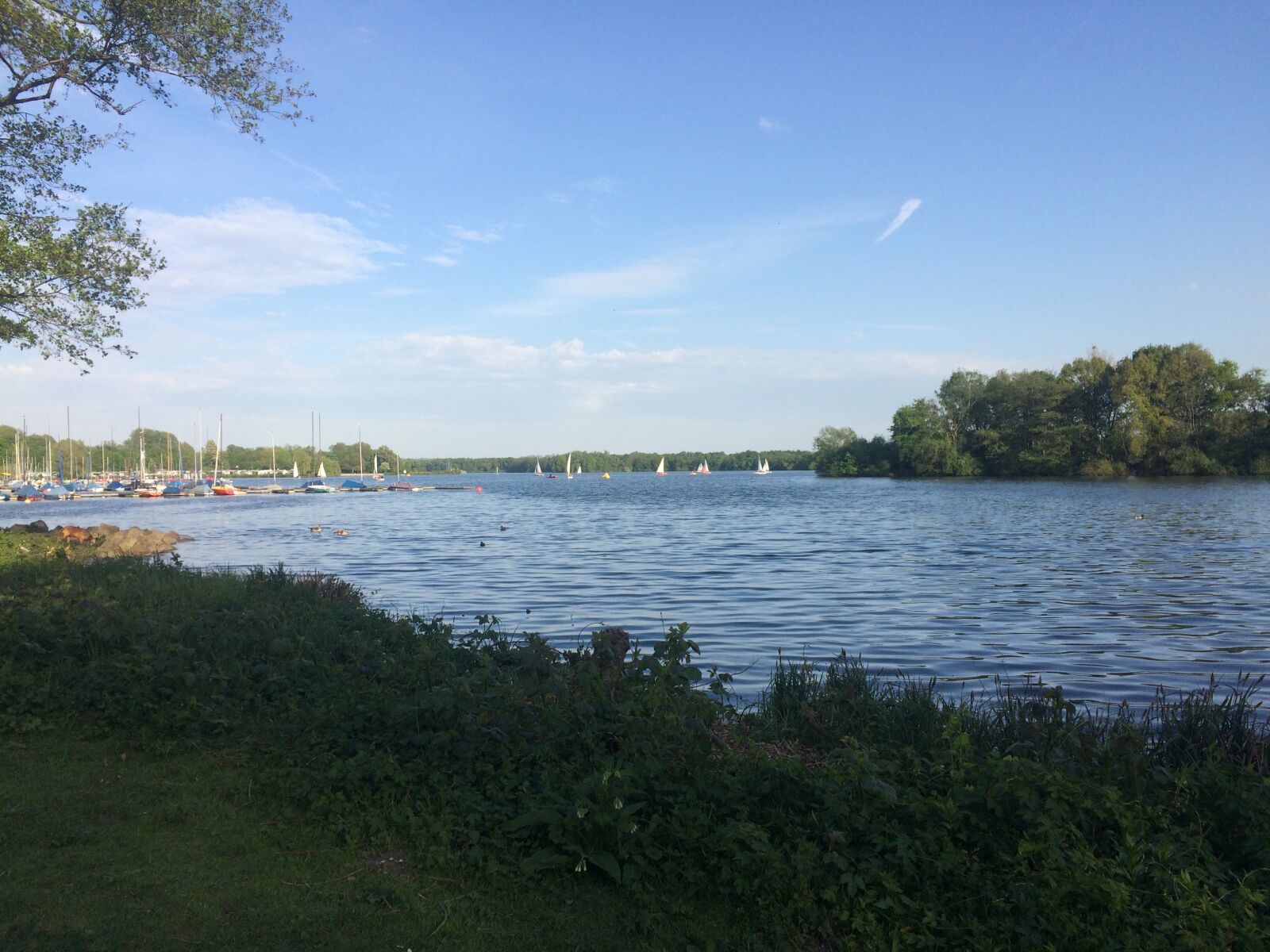 iPhone 5s back camera 4.15mm f/2.2 sample photo. Waters, nature, tree photography