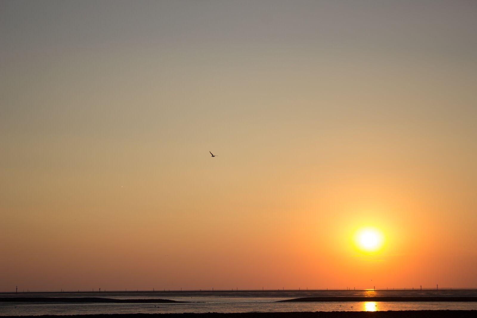 Canon EOS 600D (Rebel EOS T3i / EOS Kiss X5) sample photo. Sunset, sea, wadden sea photography