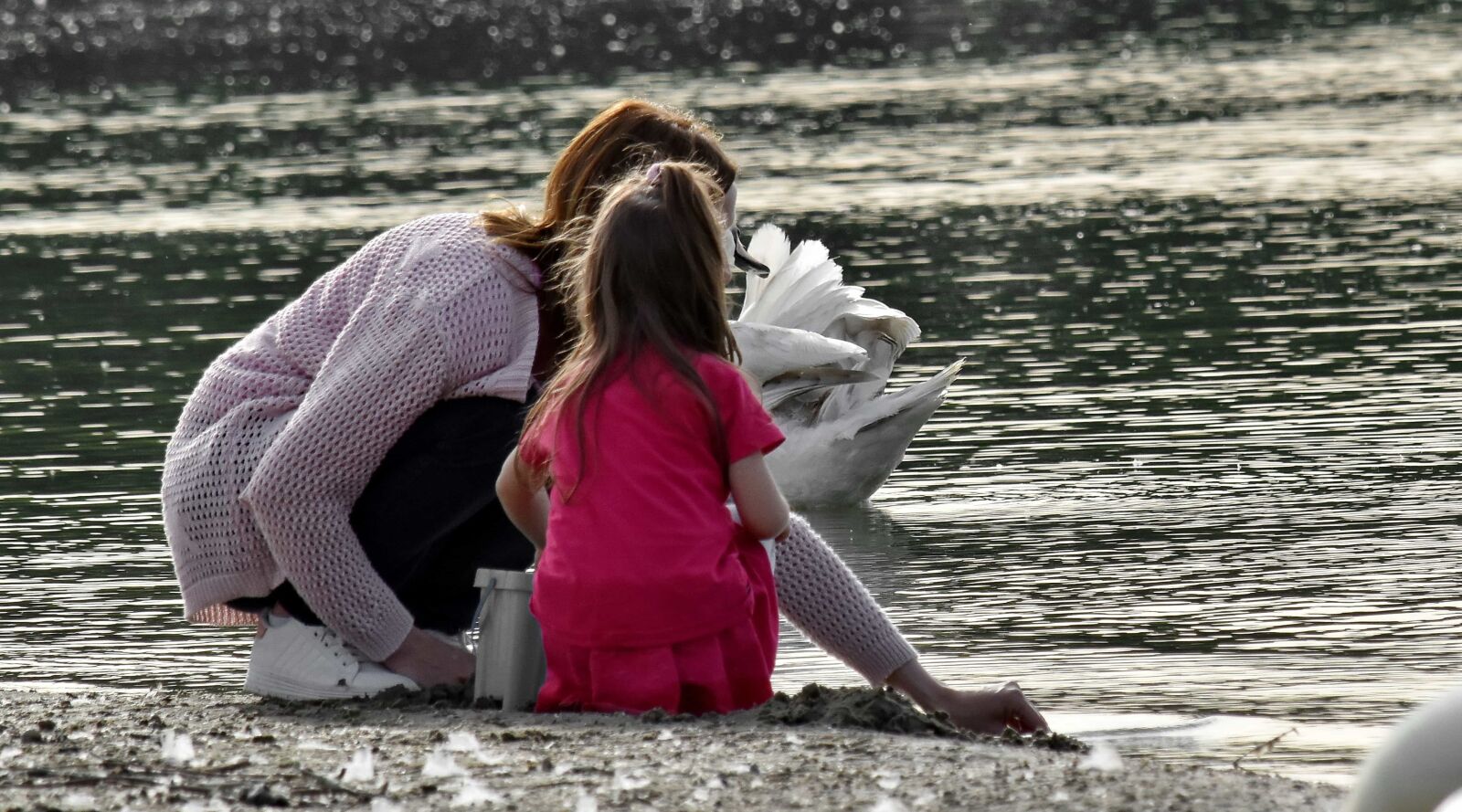 Nikon D5500 sample photo. Bird, daughter, motherhood, riverbank photography